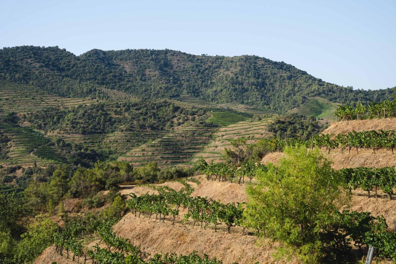 Ora Hotel Priorat, A Member Of Design Hotels Torroja Exterior foto